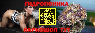 прущие крисы Бузулук